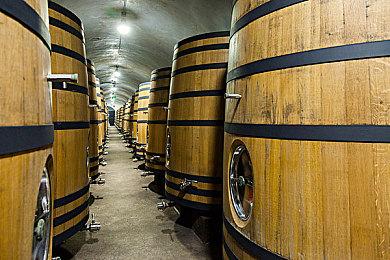 《机械战警：暴戾都市》正式发售 综合评价“特别好评”